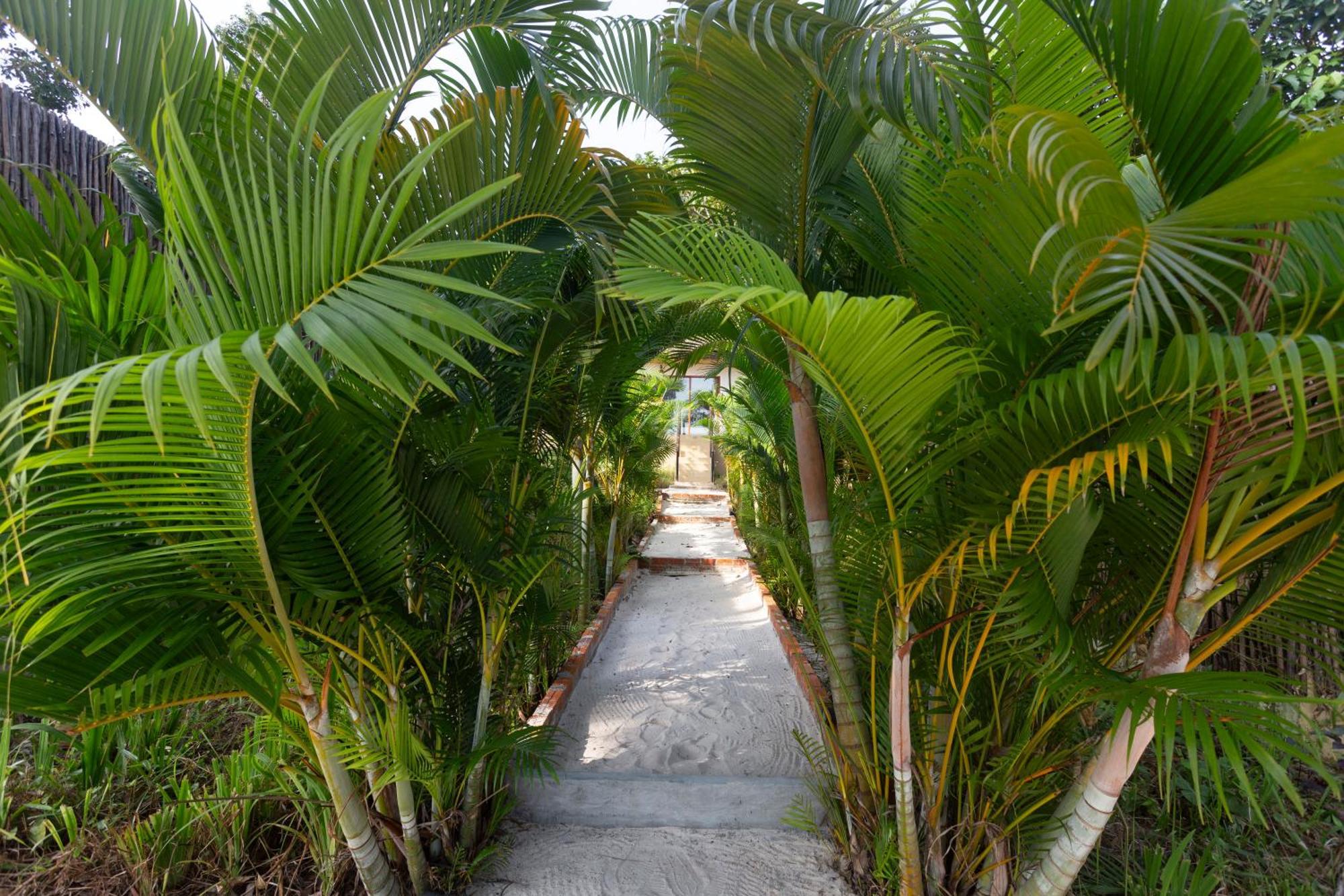อนายา เกาะรง Hotel Pagoda Beach ภายนอก รูปภาพ